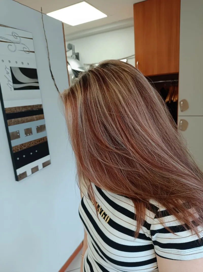 Cheveux longs après une coloration acajou avec des reflets clairs