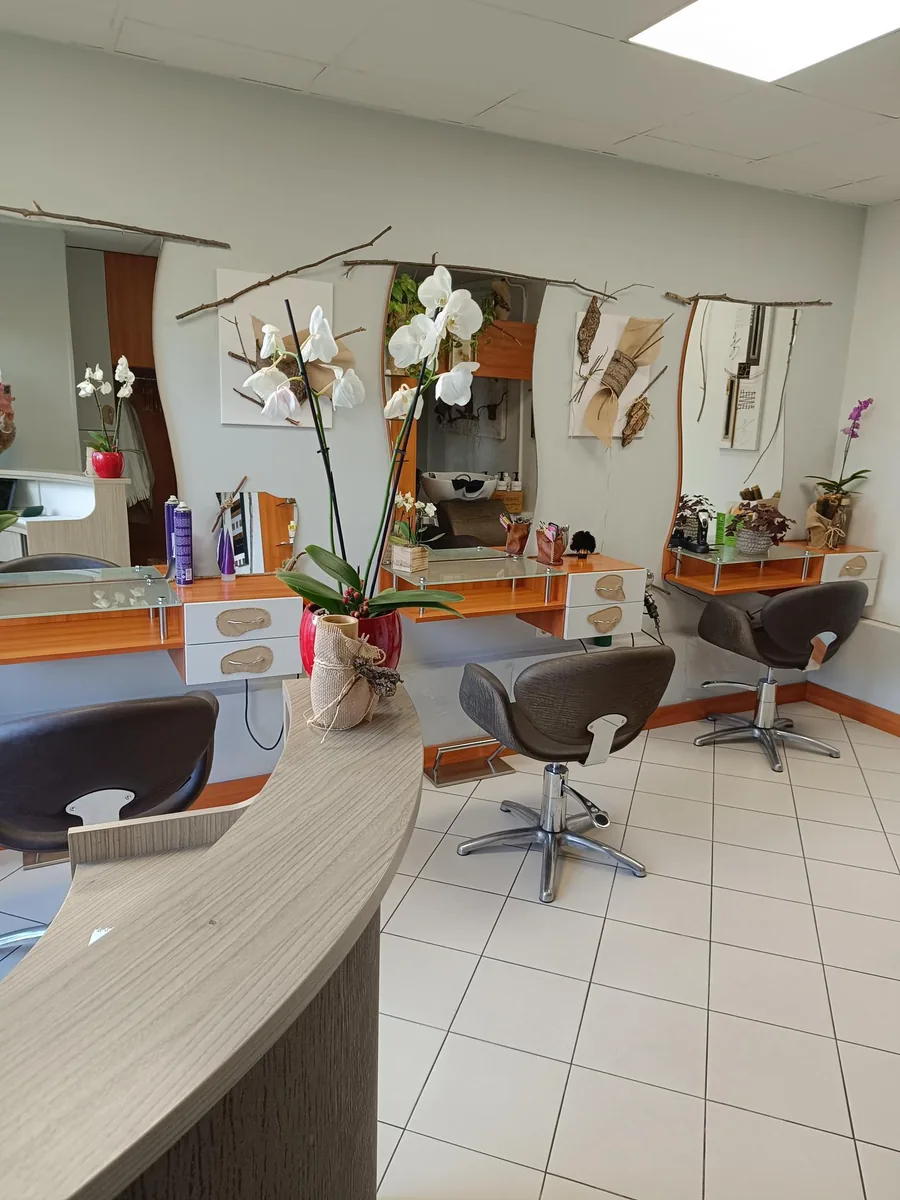 L'intérieur du salon : miroirs en bois, orchidées blanches, fauteuils gris